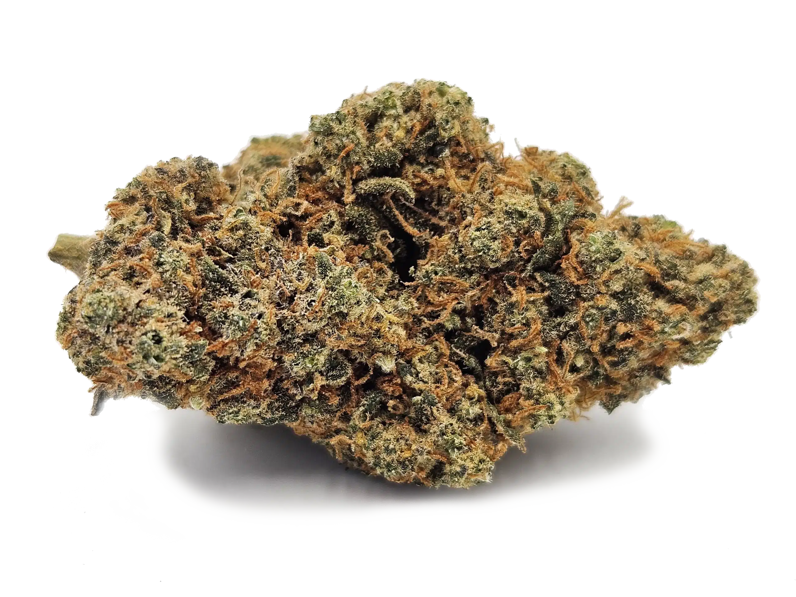 BLUEBERRY CRD 50 Indoor Premium Suisse BUDDHA FARM S CBD SHOP FLEURS