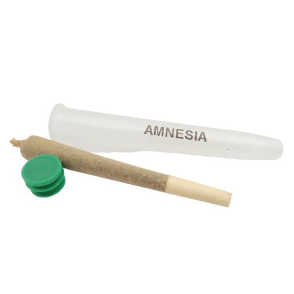 Nouveau Pré-Roll Amnesia CBD Indoor Premium 1g