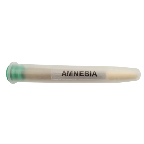 Nouveau Pré-Roll Amnesia CBD Indoor Premium 1g