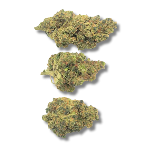 AMNESIA CRD 50%