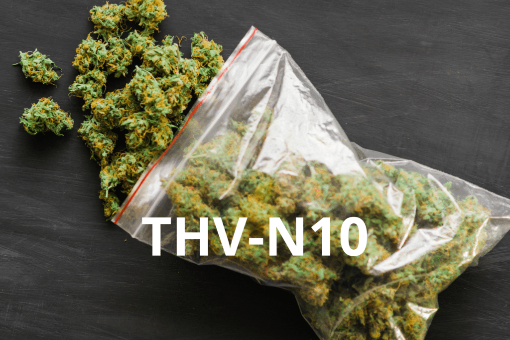 Découvrez le THV-N10, un cannabinoïde émergent aux effets modérés, potentiels bienfaits et statut légal en France et en Europe. Explorez ses différences avec le CBD et le THC, et les perspectives pour les produits à base de THV-N10.